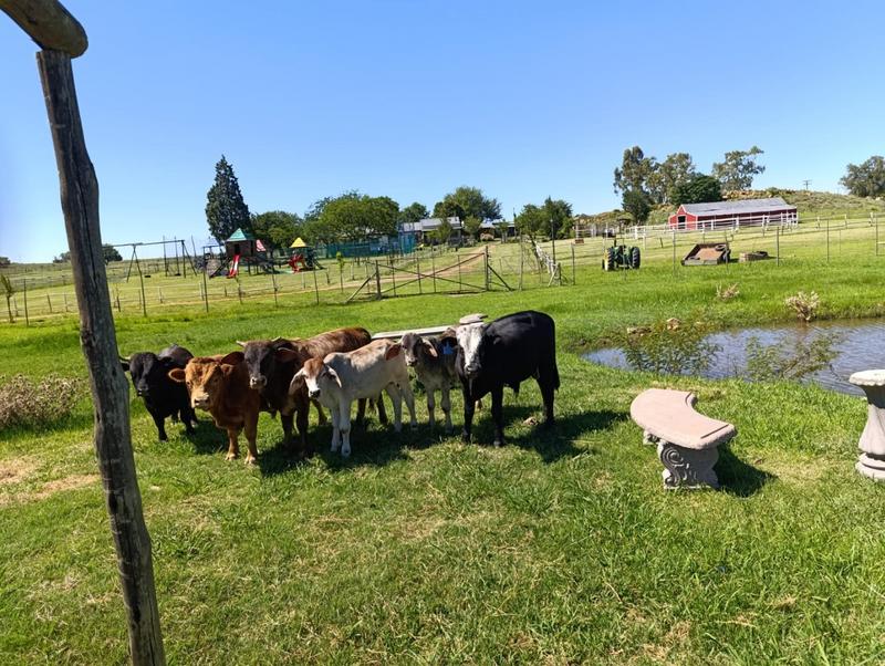 print